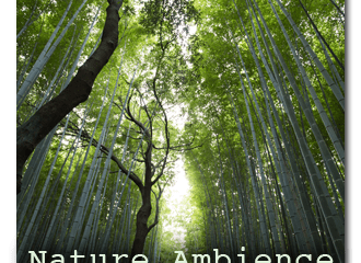 Nature Ambience Sounds